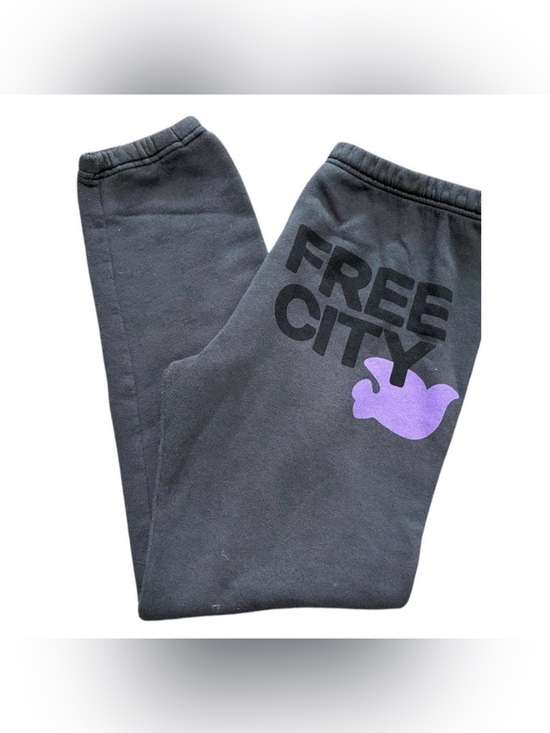 freecity Pants - FreeCity Dark Gray Sweatpants Joggers Purple Dove Size Small